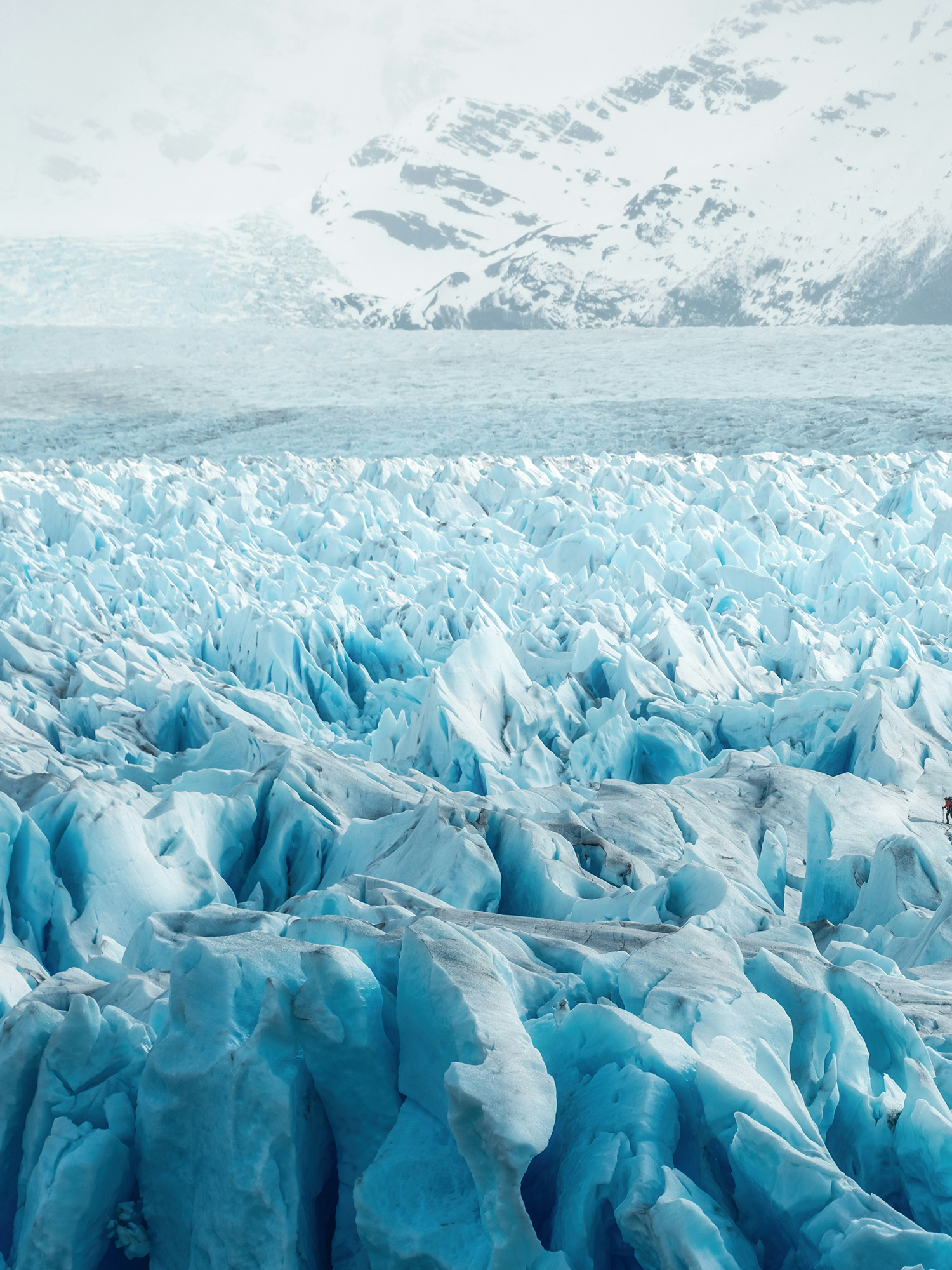 suri-travel-paisajes-extremos-patagonia-1500