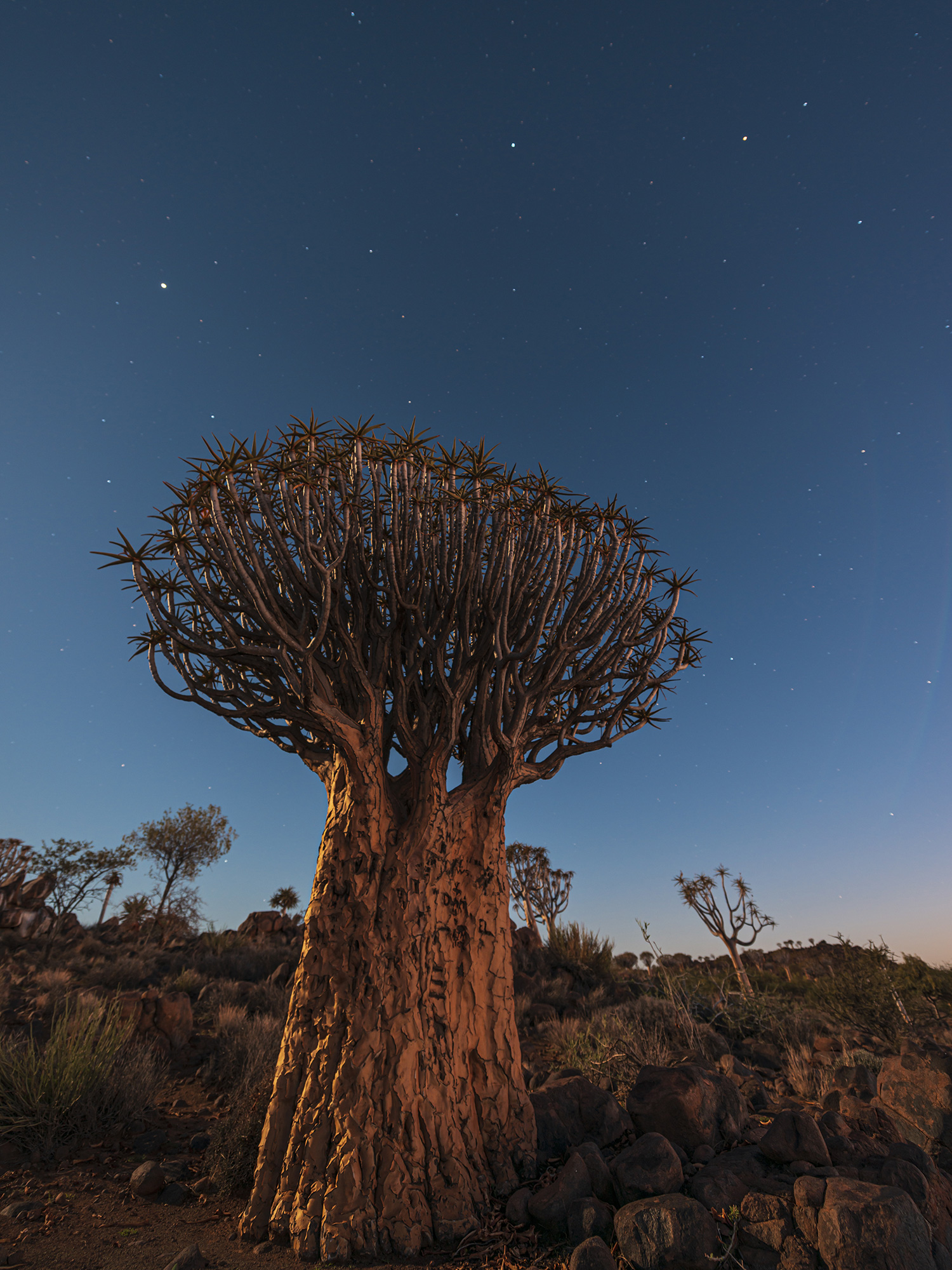 suri-travel-pasiajes-extremos-africa-1500