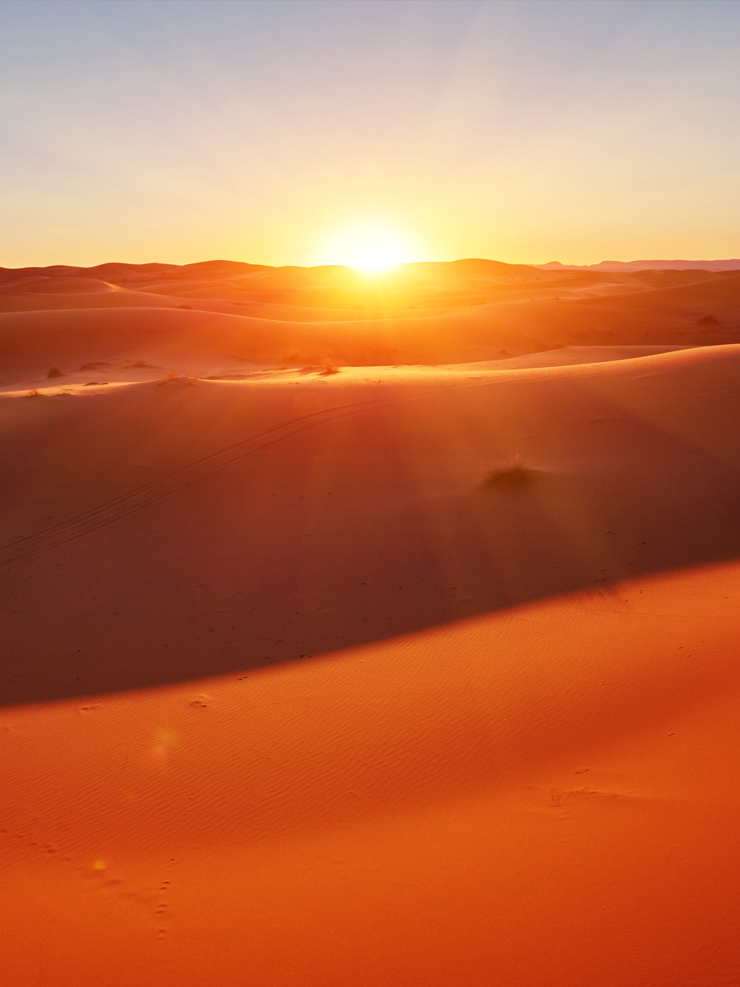 suri-travel-viaje-a-medida-africa-1500