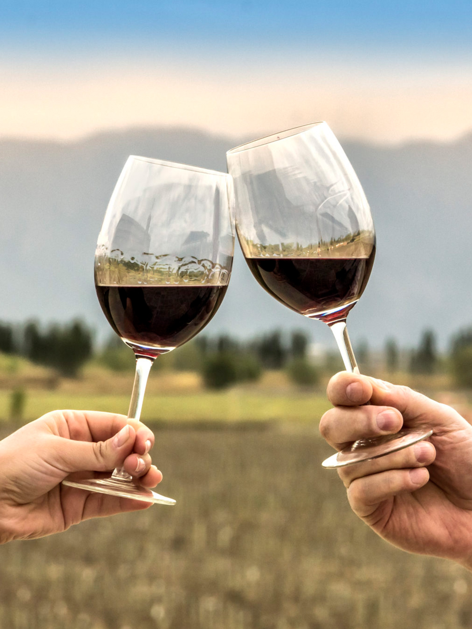 suri-travel-viajes-a-medida-sudamerica-1500