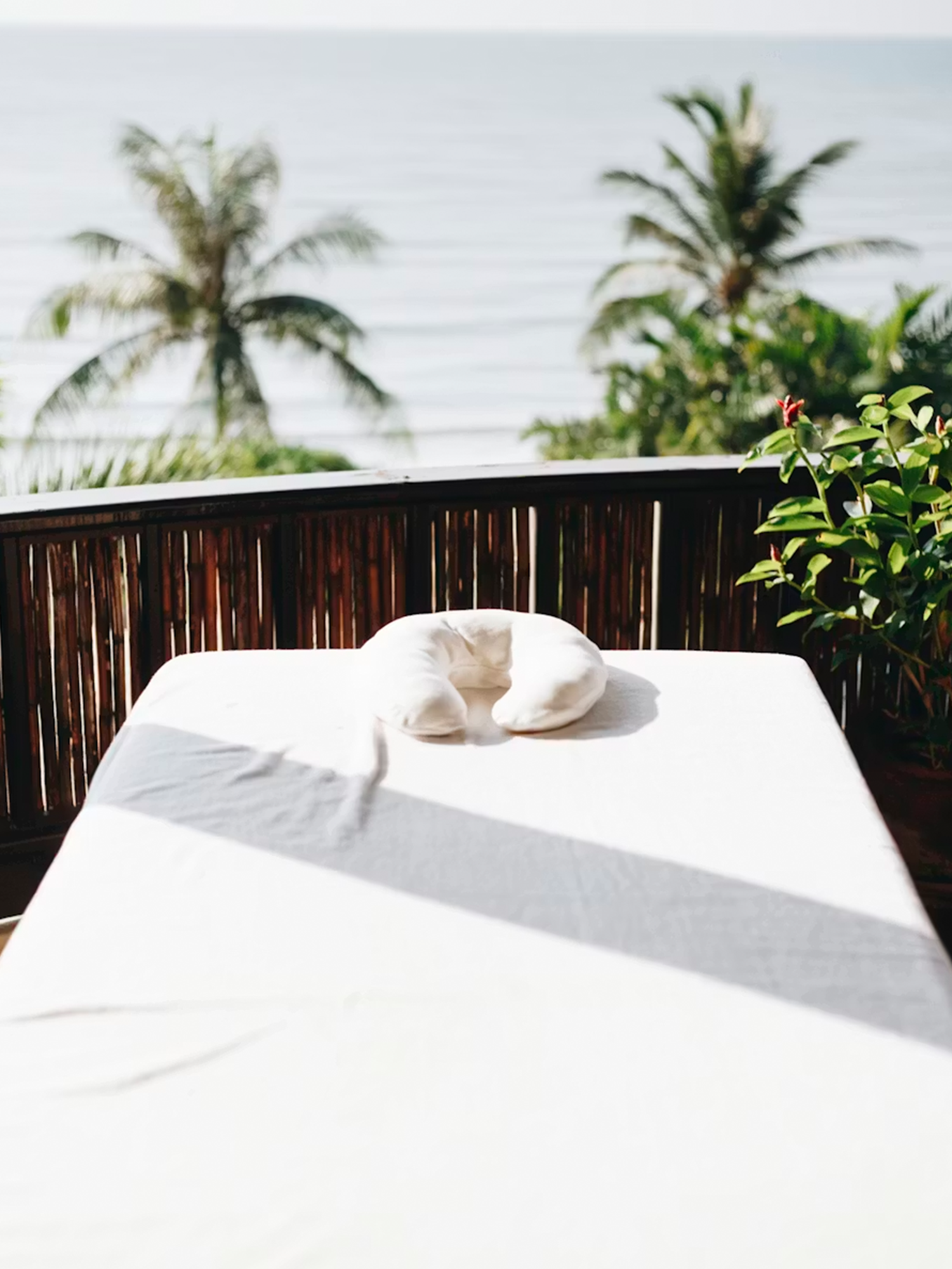 suri-travel-wellness-1500