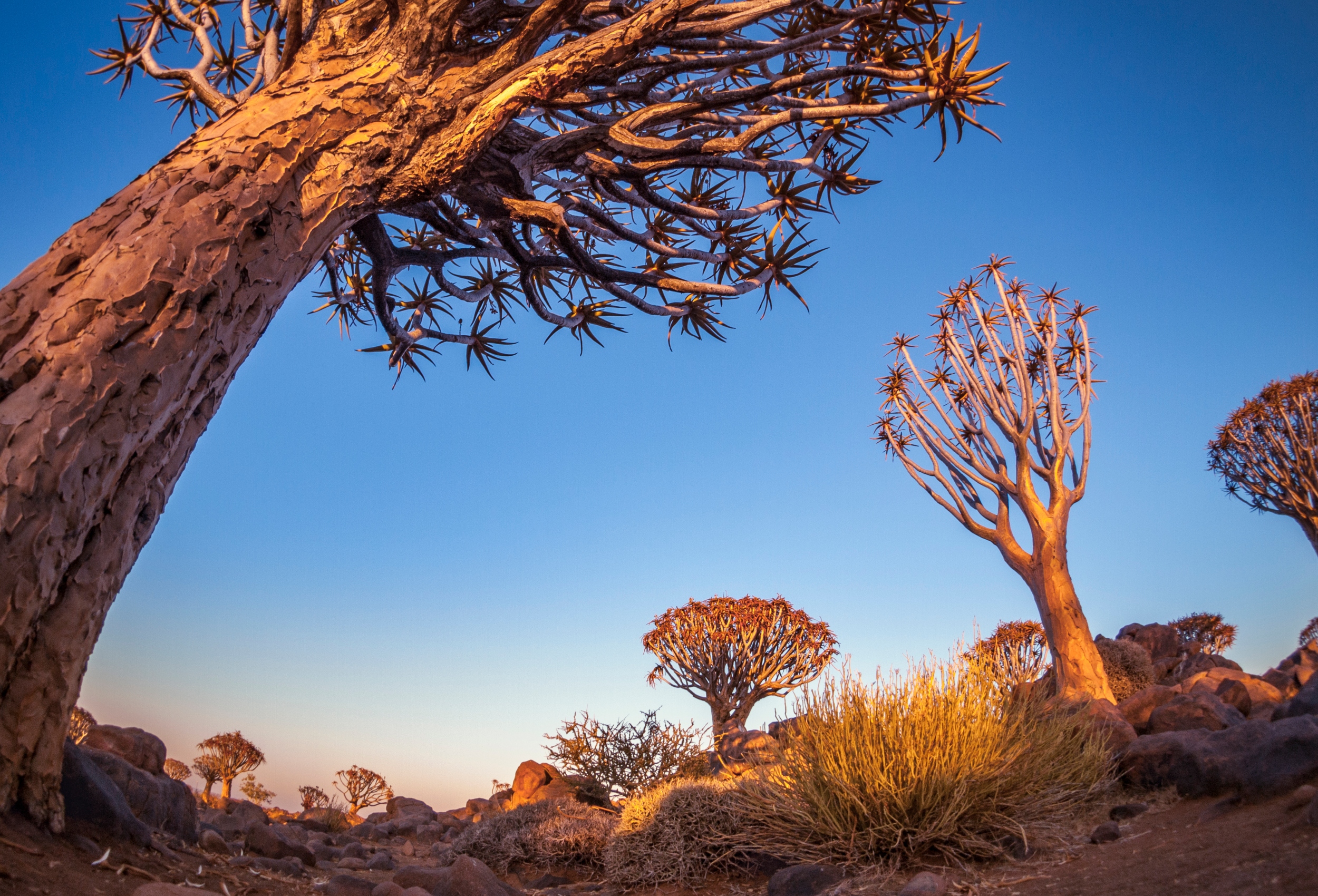 Namibia: el país donde la inmensidad cobra vida