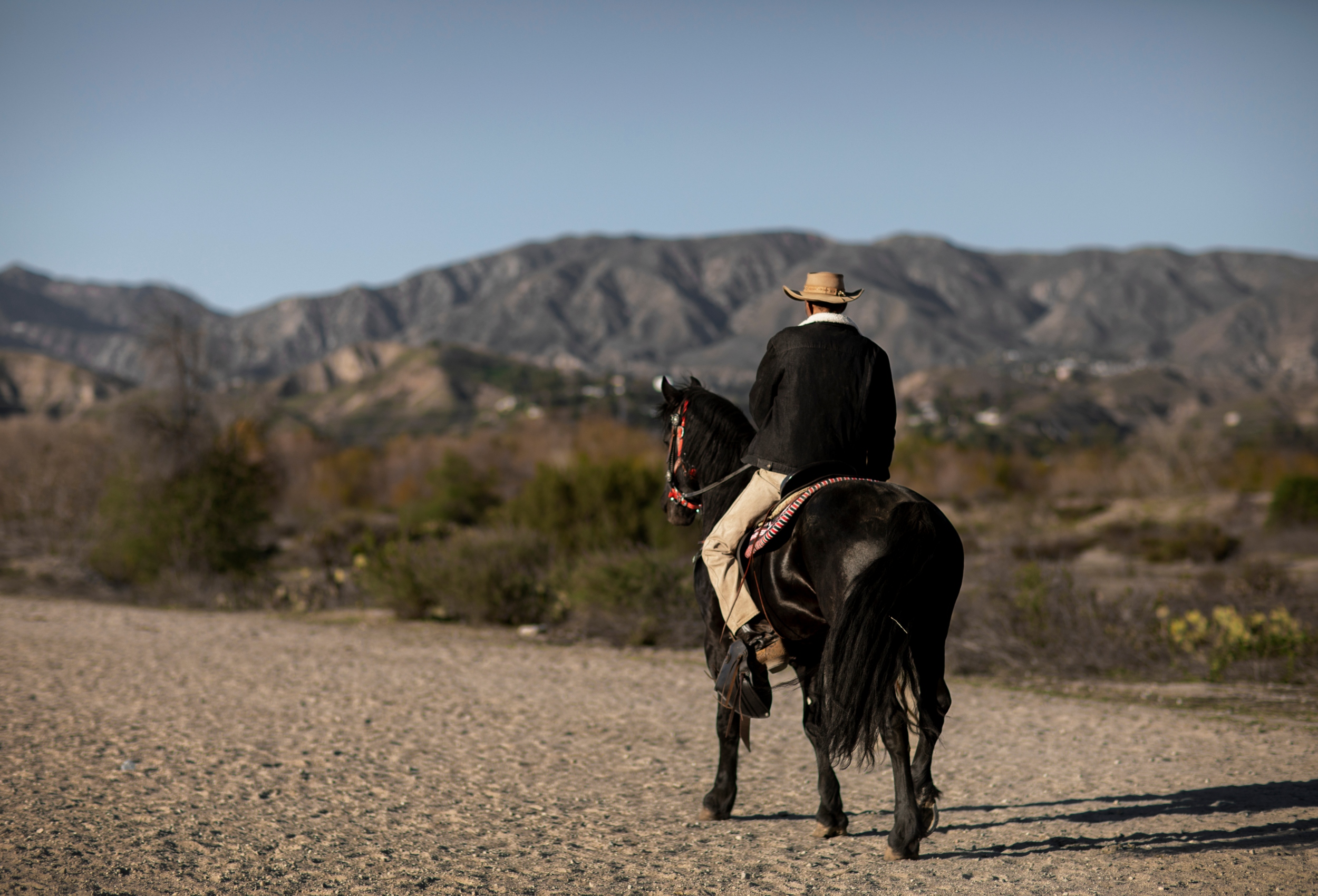Cruce de los Andes a caballo: una aventura que cambia la forma de mirar el mundo