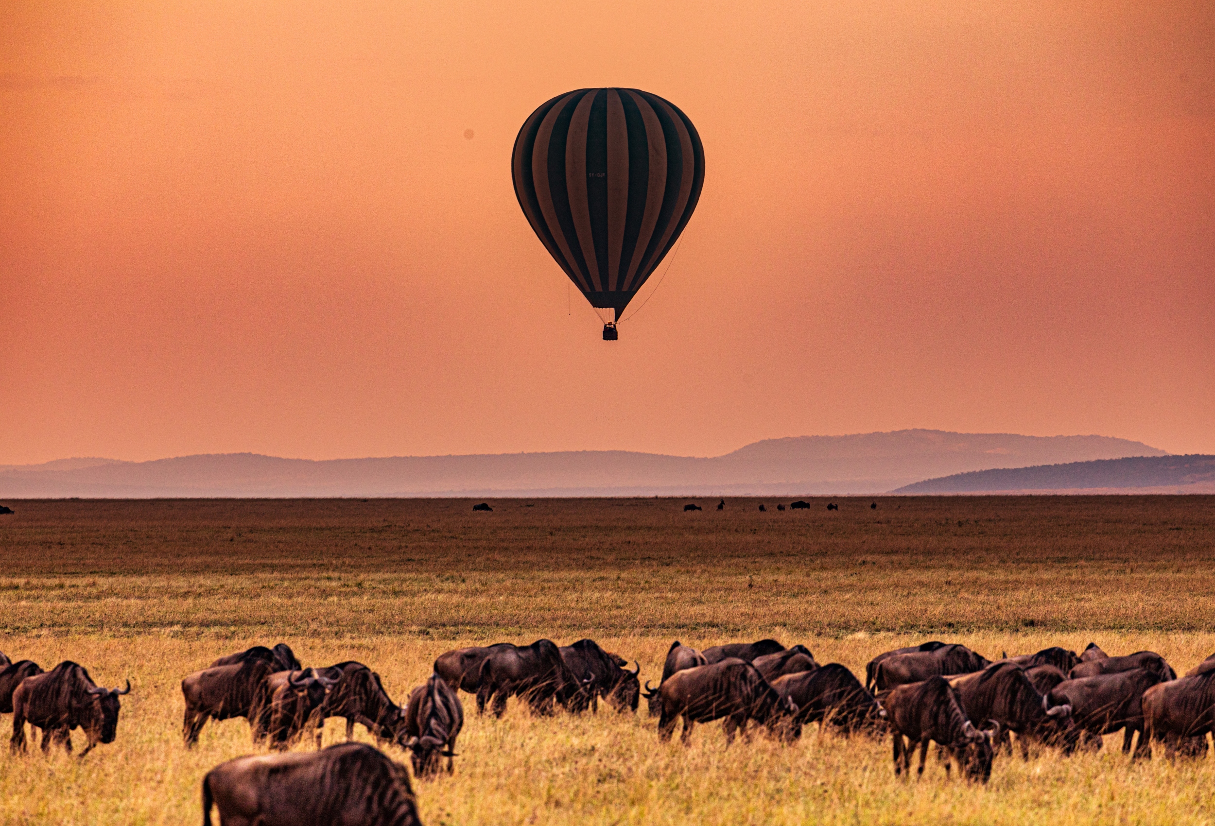 Sobrevolar el Serengeti en globo: la experiencia que transforma para siempre un safari en Tanzania